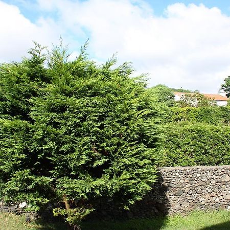 Apartamento Mar E Serra Ponta Delgada 외부 사진