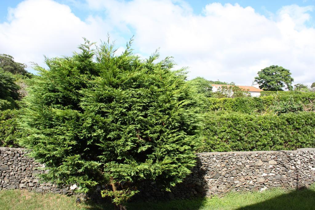 Apartamento Mar E Serra Ponta Delgada 외부 사진